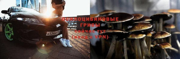 хмурый Елабуга