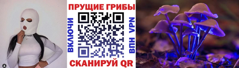Псилоцибиновые грибы GOLDEN TEACHER  Купить где  Глазов 